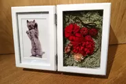 Photo frame  preserved flower red