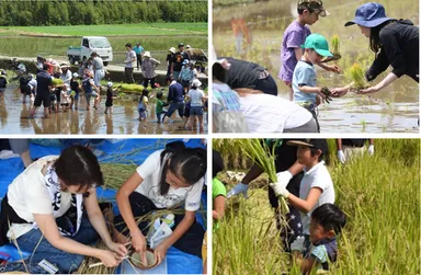 田植え稲刈りの様子