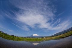 熊本地震から2年――地域の自然を活かした還元型支援 プレミアムウォーター『水から復興プロジェクト』でお米づくりを開始