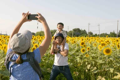 ひまわり畑で記念撮影