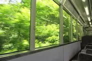 「もみじのトンネル」車窓からの風景