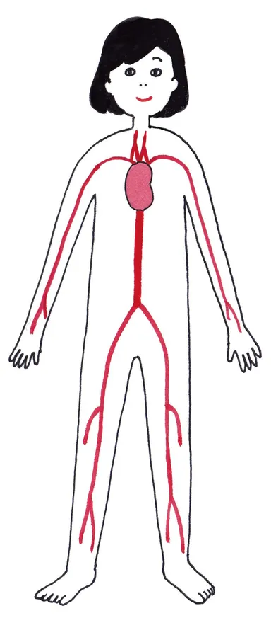 〈血圧〉イメージ