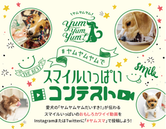 愛犬が「Yum Yum Yum!」を食べている動画を投稿　ヤムスマ動画コンテストでプロモーション動画デビュー