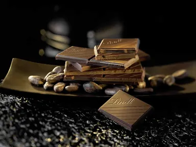 エクセレンス(イメージ)