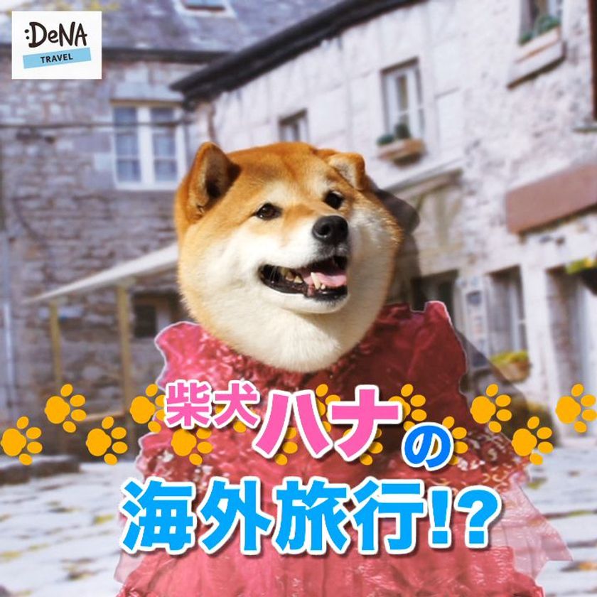 フォロワー10万人超！SNSで大人気の
柴犬ハナとDeNAトラベルがコラボ！！
話題沸騰となったイヤイヤ顔やコスプレ姿など
ここでしか見られないハナの
愛くるしい姿がたっぷり楽しめる動画を公開！
