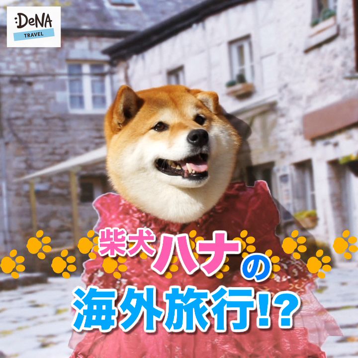 フォロワー10万人超 Snsで大人気の柴犬 ハナとdenaトラベルがコラボ 話題沸騰となったイヤイヤ顔やコスプレ姿などここでしか見られないハナの愛くるしい姿がたっぷり楽しめる動画 を公開 株式会社denaトラベルのプレスリリース フォロワー10万人超 Snsで大人気の柴犬 ハナとdenaトラベルがコラボ 話題沸騰となったイヤイヤ顔やコスプレ姿などここでしか見られないハナの愛くるしい姿がたっぷり楽しめる動画 を公開 株式会社denaトラベルのプレスリリース
