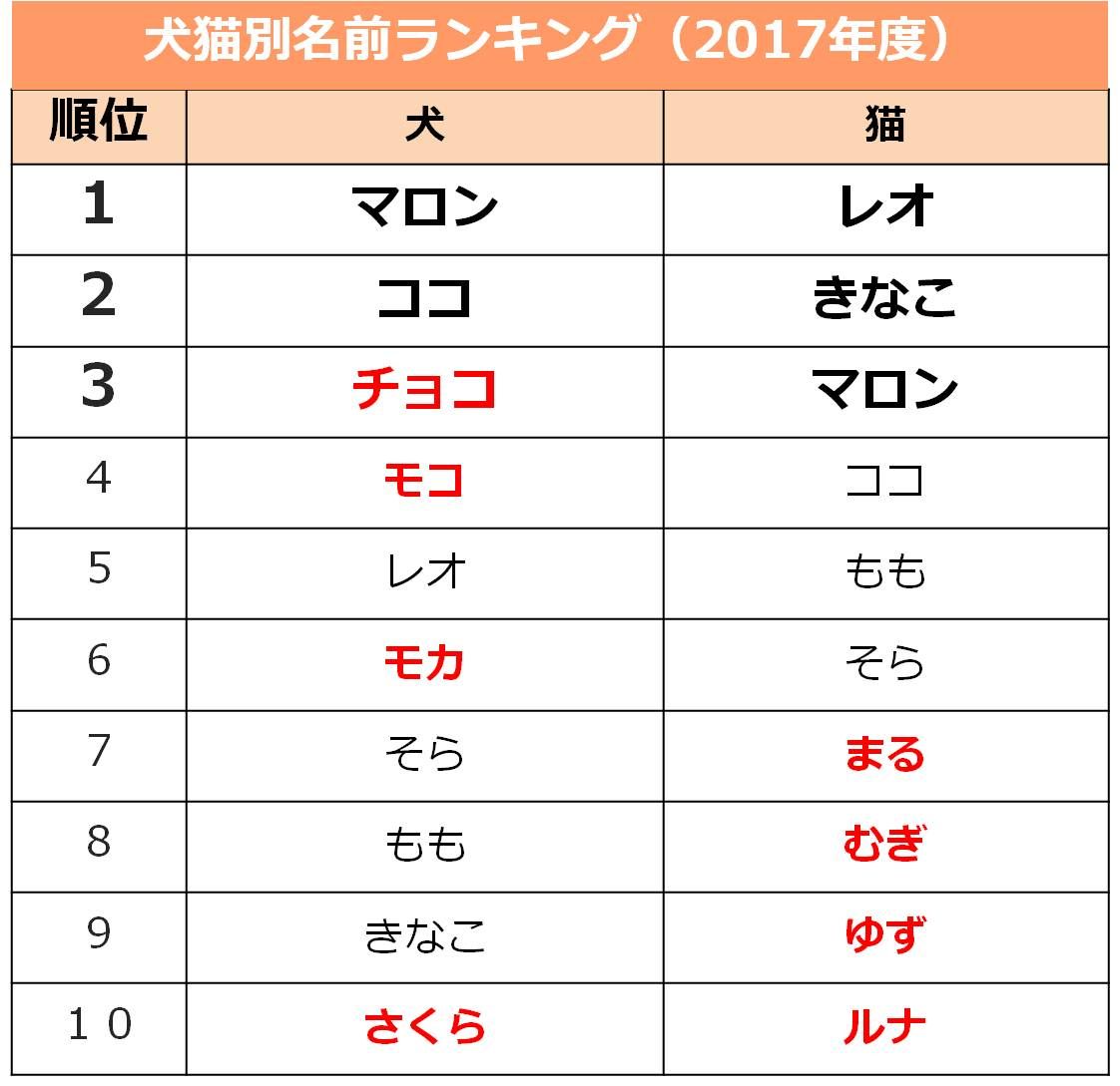 ペットの名前ランキング 犬は マロン ネコは レオ が第一位 アイペット損害保険株式会社のプレスリリース