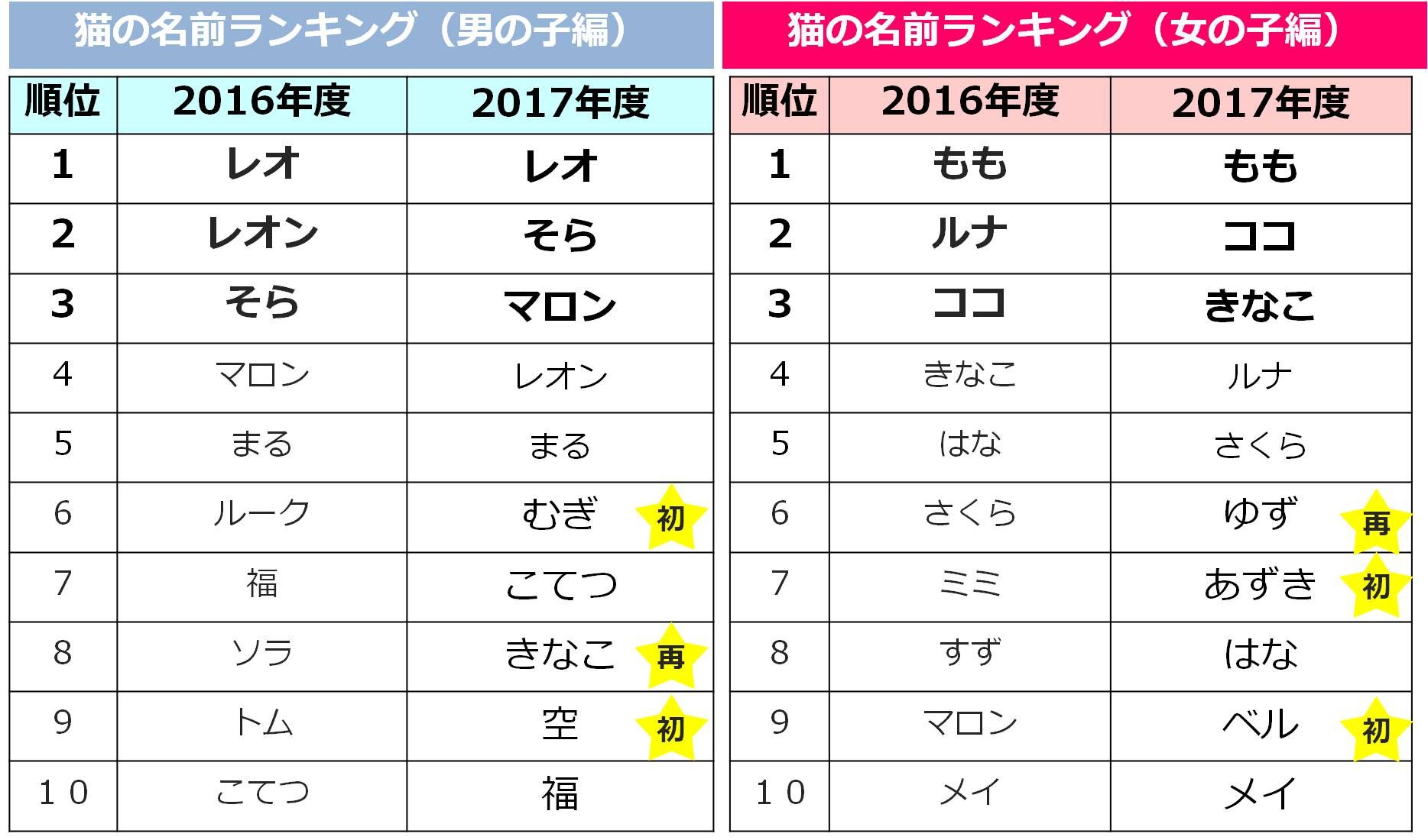 ペットの名前ランキング 犬は マロン ネコは レオ が第一位 アイペット損害保険株式会社のプレスリリース