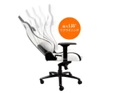 noblechairs_white_09