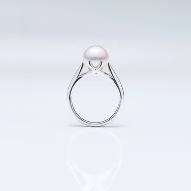 リングサイドビュー1