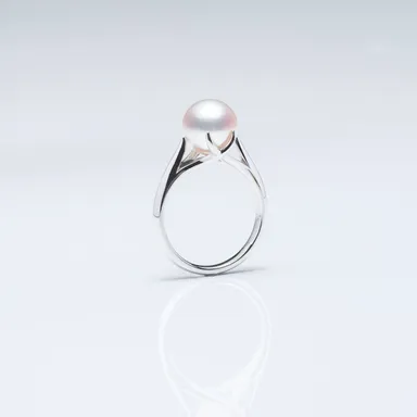 リングサイドビュー2