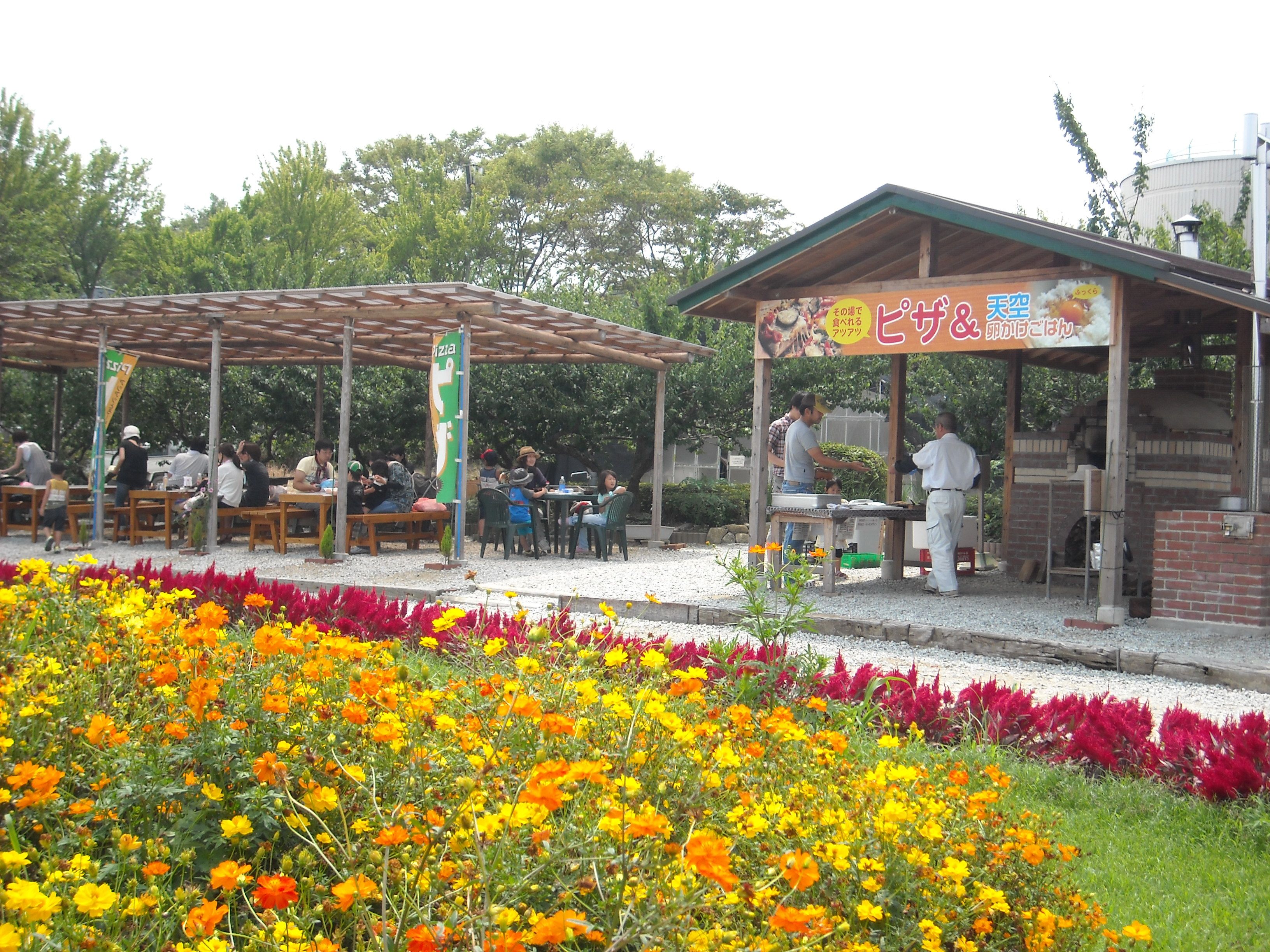 村 のどか 信貴 山