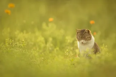 「世界はもっと美しい。」