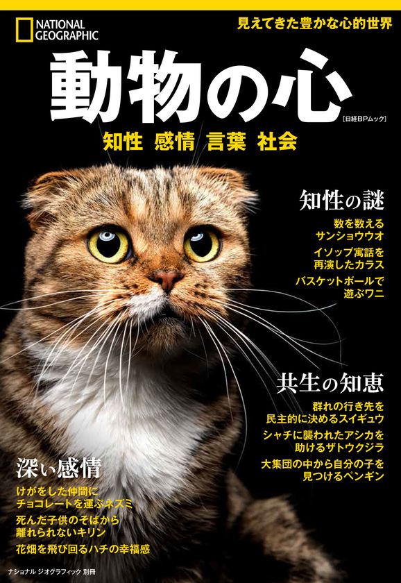 ビジュアル書籍『動物の心 知性 感情 言葉 社会』
4月23日(月)発売
