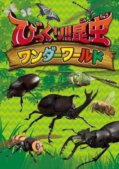 びっくり！！昆虫ワンダーワールド