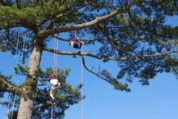 ロープクライミング 開催時の様子