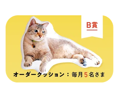 B賞　オーダークッション