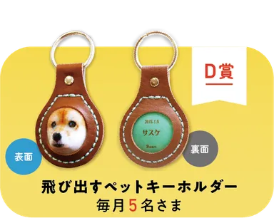 D賞　飛び出すペットキーホルダー