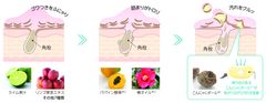 クリアスキンジェル_3ステップ図