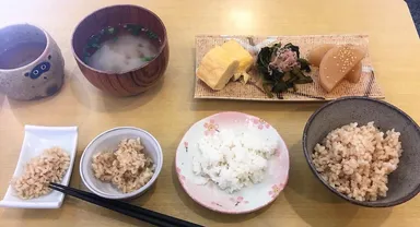 健康な食事の提供