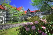 ホテルグリーンプラザ軽井沢 中庭のシャクナゲ
