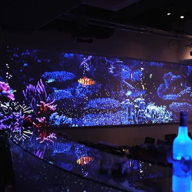 夏は涼しげにアクアリウムも