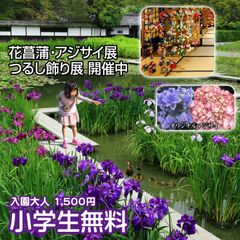 新品種アジサイが続々登場！静岡県掛川市の加茂荘花鳥園にて「2018年花菖蒲・アジサイ展」を7月1日まで開催