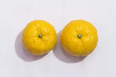 左：多田錦柚子、右：一般的な柚子