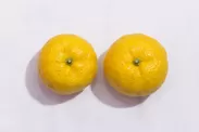 左：多田錦柚子、右：一般的な柚子