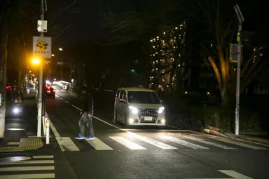 夜間の横断もLEDで安心です