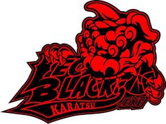 3人制プロバスケットボールの公式試合が佐賀県に初上陸　KARATSU LEO BLACKS.EXEは九州・沖縄カンファレンスに参戦