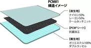 PCM81 構造イメージ