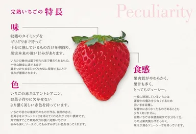 完熟いちご説明