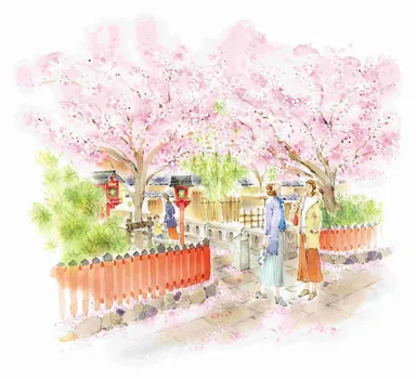 祇園白川の桜