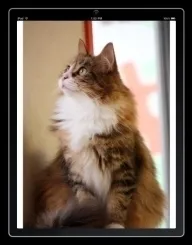 縦向き1ページ表示例