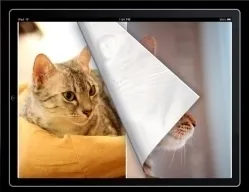 横向き2ページ表示例