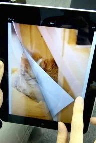 ページ切替アニメーション