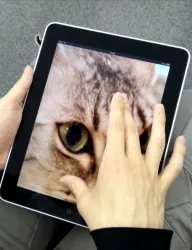 ピッチアウトで拡大表示