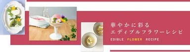 エディブルフラワーレシピ