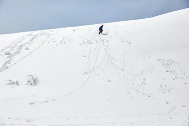 大原大次郎「もじばけ - Throw Motion-」