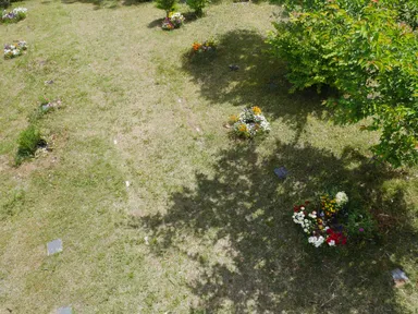 個別の区画が並んでいる様子