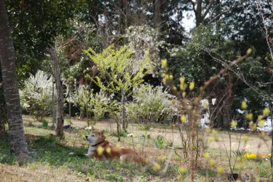 いつも一緒にお墓まいり