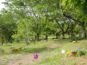 春の花々が供えられた樹木葬墓苑