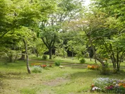 様々な緑が織りなす墓苑の風景