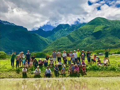 田植えの様子(昨年)