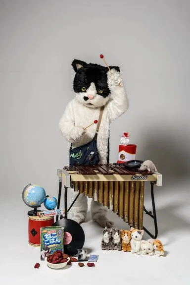 むぎ(猫)〔むぎかっこねこ〕