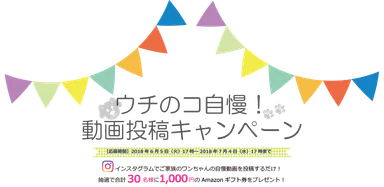 ウチのコ自慢！動画投稿キャンペーン