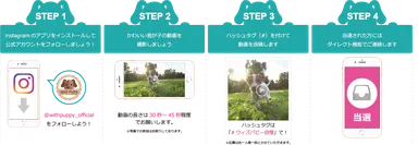 キャンペーンの流れ