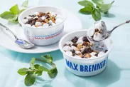 マックス ブレナー ミントチョコレートチャンクアイスクリーム(3)