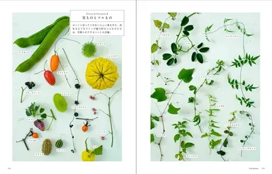 デザインに使う花材を標本形式で紹介